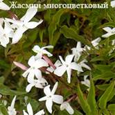 Знак Вашего гороскопа