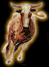 Знак Вашего гороскопа