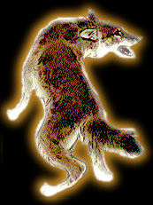 Знак Вашего гороскопа