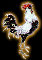 Знак Вашего гороскопа