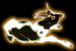 Знак Вашего гороскопа