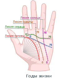Как читать линии на руке - wikiHow